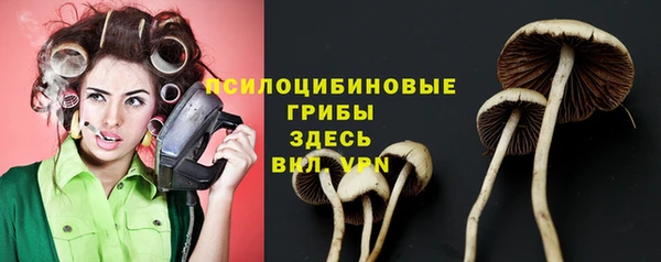 прущие крисы Протвино