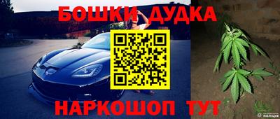 прущие крисы Аргун