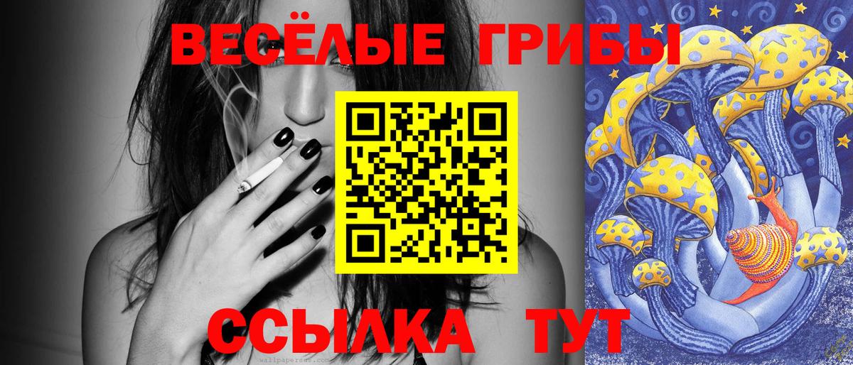 Псилоцибиновые грибы прущие грибы  Богородицк 