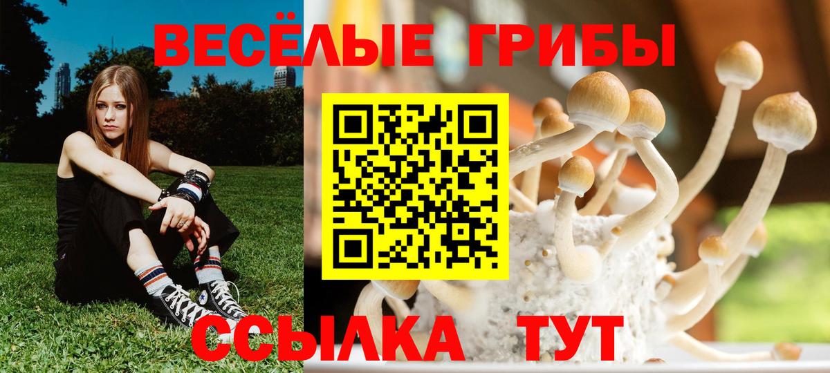 Псилоцибиновые грибы GOLDEN TEACHER  сколько стоит  Богородицк  Вход с VPN 