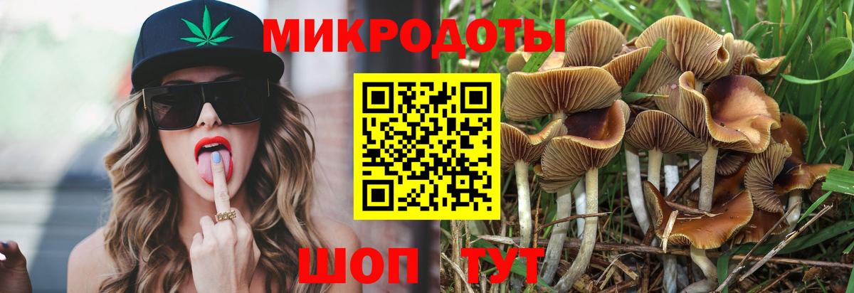 Галлюциногенные грибы Psilocybe Богородицк