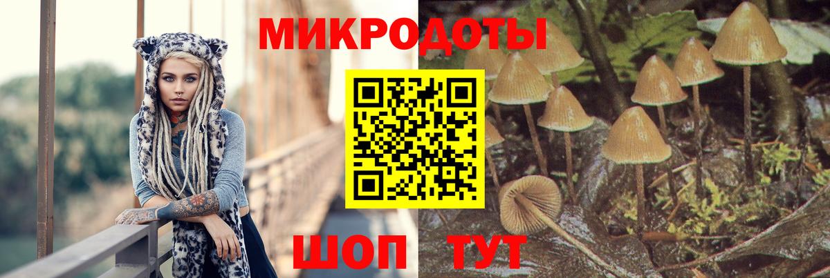 Псилоцибиновые грибы Cubensis Богородицк